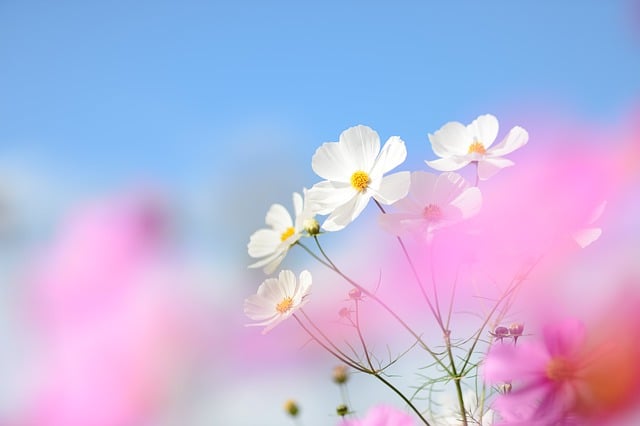 vindecarea energetica a corpului