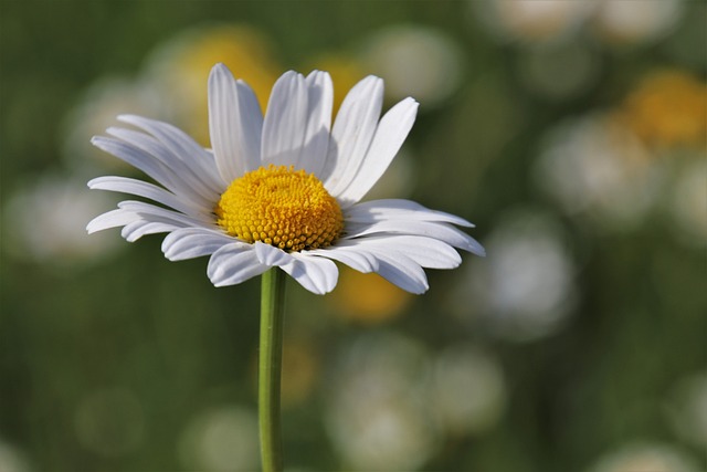 citate balsam pentru suflet